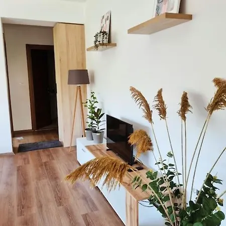 New Cozy * Скопье